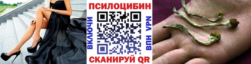 Галлюциногенные грибы мухоморы  Стрежевой 